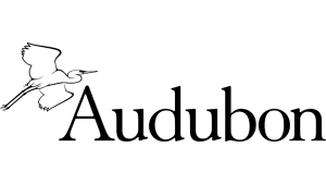 Audubon